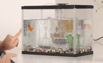 水替えの適正な水量