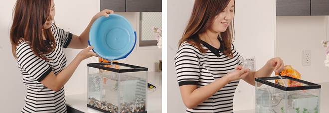 水槽に水とカルキ抜き剤を入れて数時間循環させる