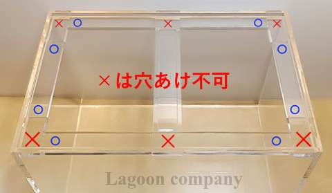 オプション、その他 - Lagoon company