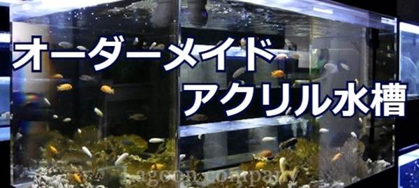 超大型アクリル水槽 超大型アクリル水槽