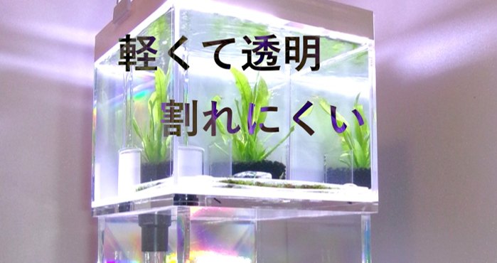 オーダーアクリル水槽