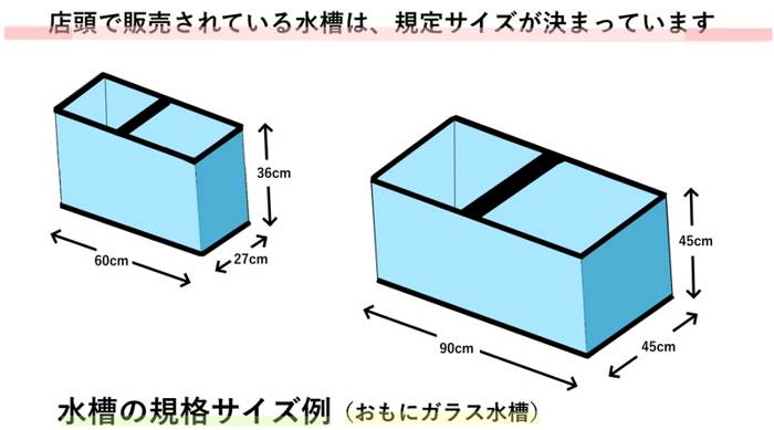 規格サイズ水槽