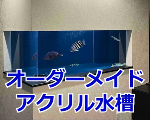 オーダーアクリル水槽