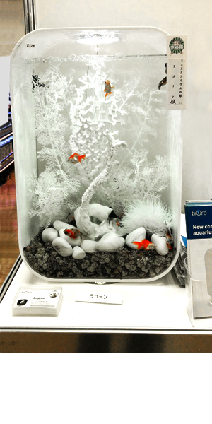 ラグーン・カンパニーが《日本観賞魚フェア 水槽ディスプレイコンテスト》にて準優勝を受賞