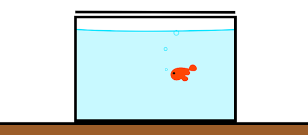 小型水槽 小型水槽