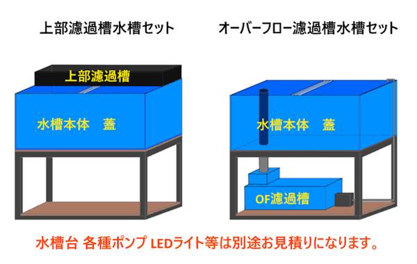 最終値❗️清掃済みアクリル　ケース　大型　水槽 アクリル水槽 1200×60×60