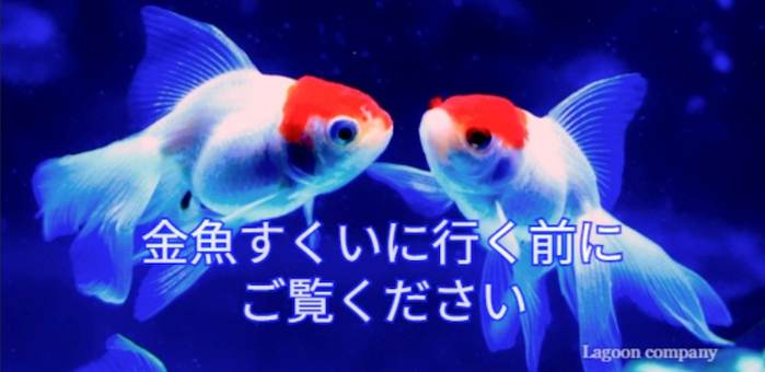 お祭り、金魚すくい、水槽セット